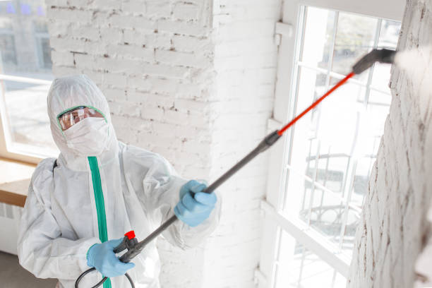 Best Mold Remediation for Specific Building Types in New Martinsville, WV